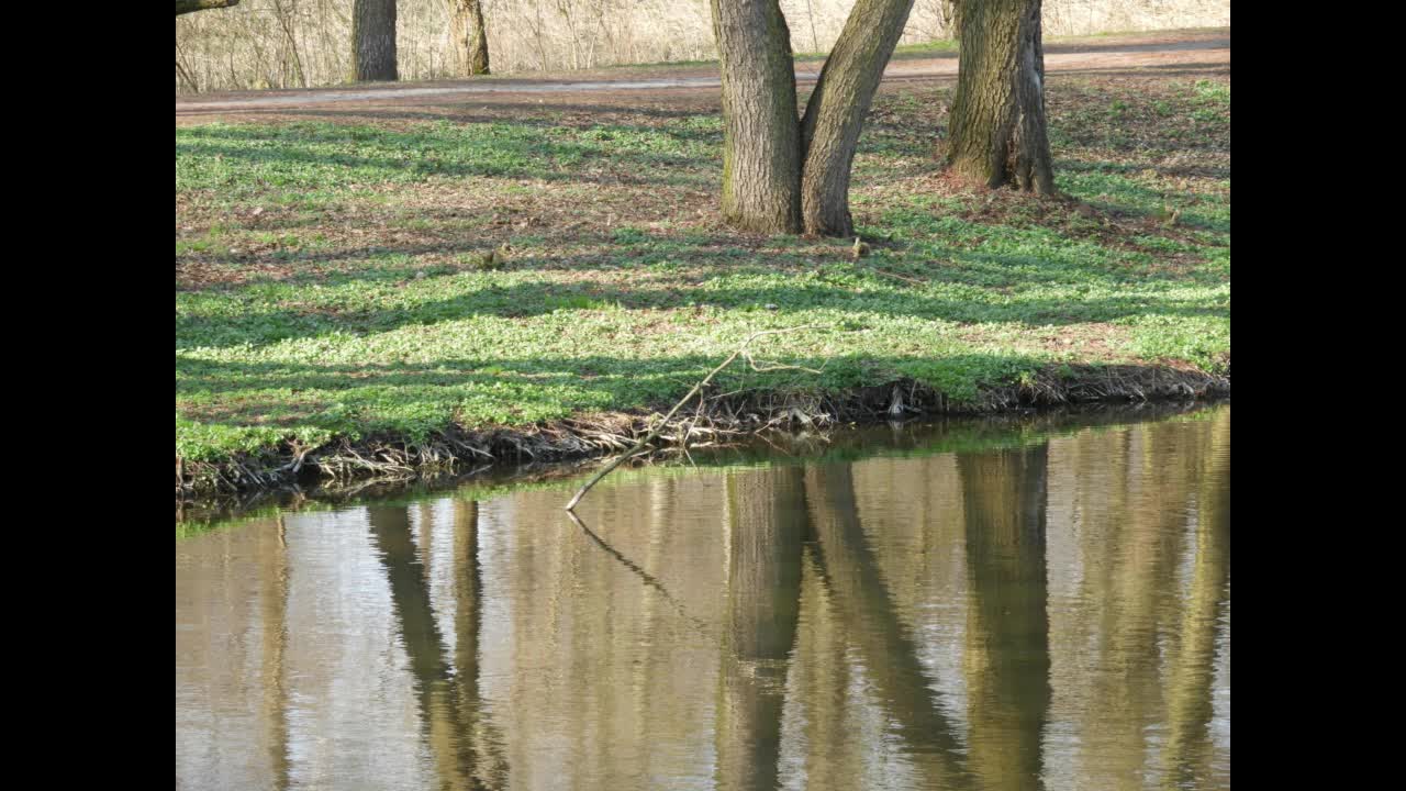 Bajka nr 45 - Konstancin - Jeziorna (Uzdrowisko Mazowsza)