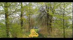 Bajka - Jak kochasz zdrowie to je masz