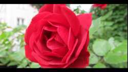 Bajka - Gdy chcesz być zdrowy to pamiętaj o rozwoju duchowym